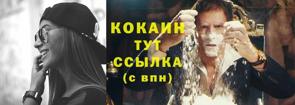 ПСИЛОЦИБИНОВЫЕ ГРИБЫ Аркадак