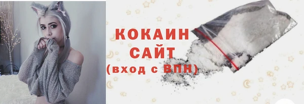 ПСИЛОЦИБИНОВЫЕ ГРИБЫ Аркадак