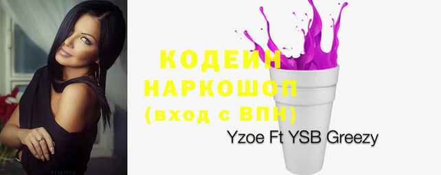 молекула духа Арсеньев