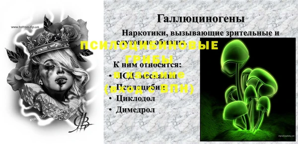 прущие грибы Армянск