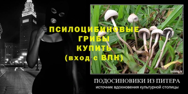 молекула духа Арсеньев