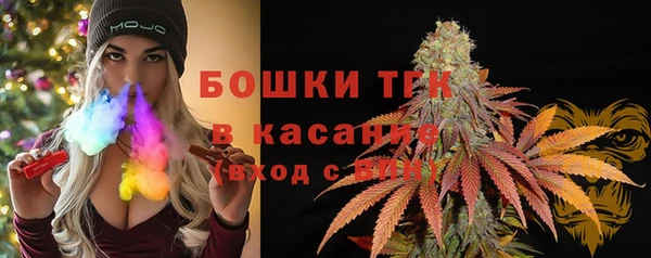 молекула духа Арсеньев