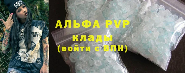 молекула духа Арсеньев