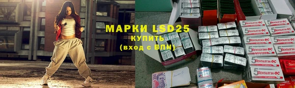 прущие грибы Армянск