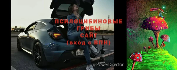 молекула духа Арсеньев
