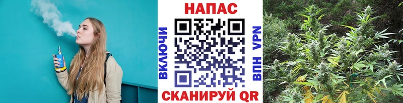 Марихуана Bruce Banner  Тутаев 